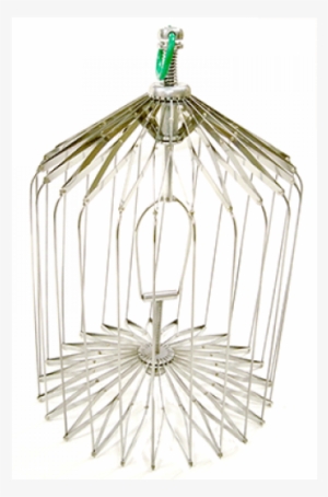 Production Bird Cage Trick #1082873