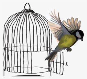 Moda Magazine Style Icon - Budgerigar #1082984