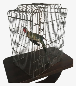 Large Wire Birdcage #1083072