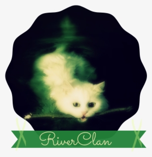 Riverclan Second Banner Fam - Tj Maxx Coupons 2016 #1083119