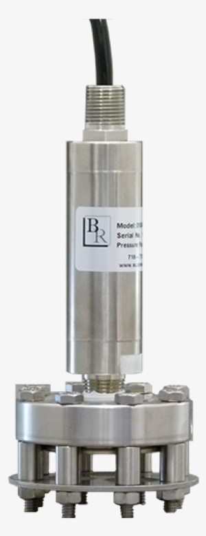 Blue Ribbon Restaurants #1083529