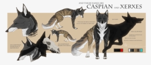 Caspian And Xerxes Ref - Josiah James Chasing The Wind #1084088