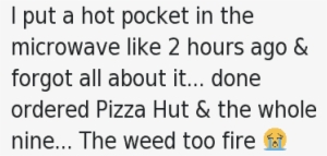 I Put A Hot Pocket In The Microwave Like 2 Hours Ago - Don T Want To Lose My Friends #1084728