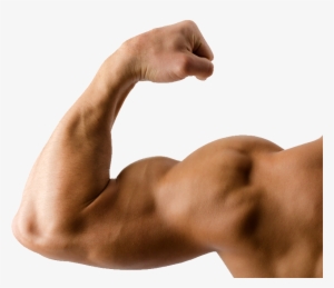 Hand Muscle Png Image Library Library - Make Our Body Strong And Healthy #1084776