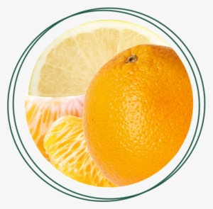 100% Jugo De Frutas - Blood Orange #1084832