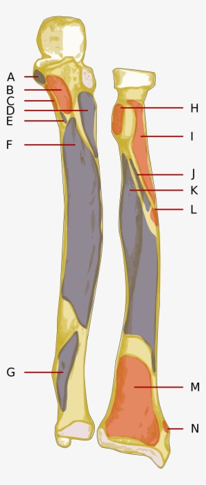 Open - Illustration #1085107