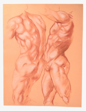 Clip Art Free Download Drawing Torso Muscle - Drawing #1085171