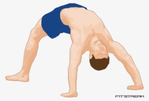 The - Bridge Exercise #1085172