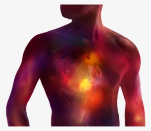 Cardiac Regeneration - Science #1085187