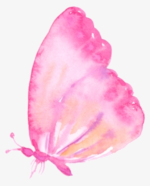 Pink Butterfly Cartoon Transparent - Rosa Borboleta Fundo Transparente #1085385