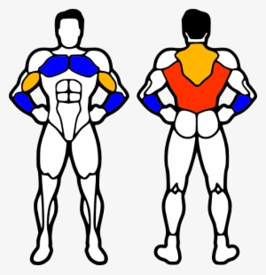 Pull Up Muscles - Muscles Do Chin Ups Work #1085409