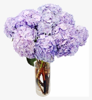 Tinted Hydrangeas Wedding Flowers - Hydrangeas In A Vase Png #1085731
