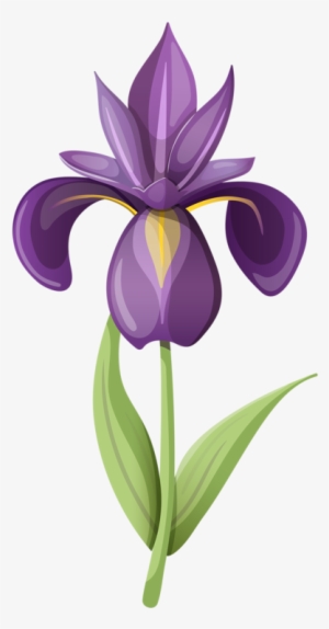 Фото, Автор Soloveika На Яндекс - Iris Flower Clipart #1085758