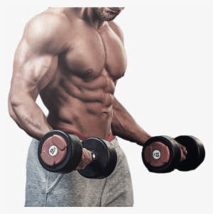 Bodybuilding Fitness Centre Muscle #1085843