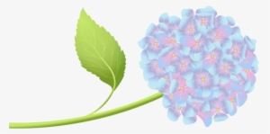 Vector Black And White Hortensia Clip Art Png Image - Portable Network Graphics #1085890