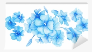 Blue Hydrangea Watercolor Illustration Wall Mural • - Hydrangea Png Small Watercolour Hydrangea #1085976
