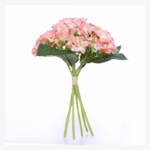 Peach Hydrangea Bundle Posy - Hydrangea #1086099