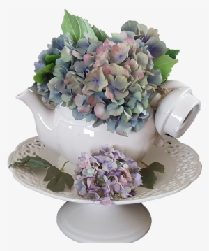 Hydrangea Flowers Dried Flower - Hydrangea #1086810