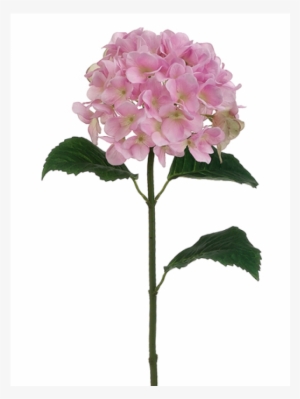 31" Hydrangea Spray Pink Green #1087037