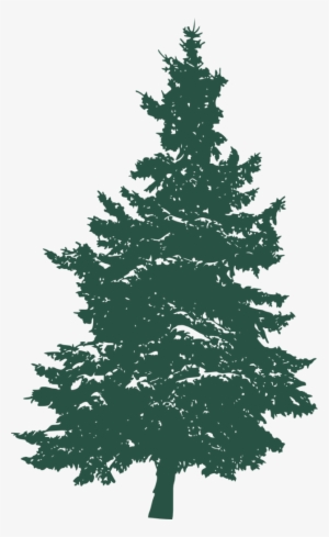 Pine Tree Silhouette 3 1 - Pine Tree Silhouette On White #1087354 Pine Tree Silhouette 3 1 - Pine Tree Silhouette On White #1087354