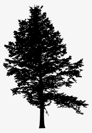 10 Pine Tree Silhouette - Pine Tree Silhouette Png #1087464 10 Pine Tree Silhouette - Pine Tree Silhouette Png #1087464