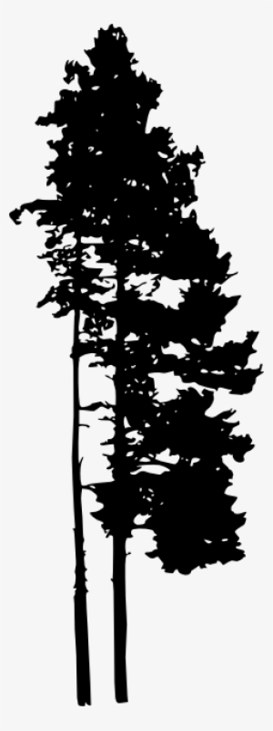 30 Pine Tree Silhouette Png Transparent Vol 2 Onlygfxcom - Portable Network Graphics #1087519
