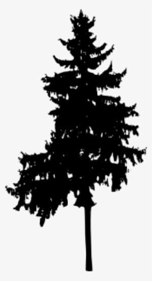 Free Png Pine Tree Silhouette Png Images Transparent - Portable Network Graphics #1087640