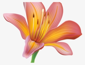 Free Easter Lily Clipart - Lily Clipart #1087641