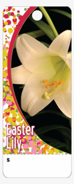 Care Tag - Green Plant (100ct) #1087718