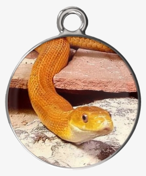 Eye Of The Beholder Charm Bracelet - Serpent #1087739