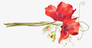 Poppies - Free Flower Clip Art Watercolour #1087755