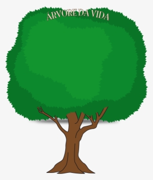 Bg-arvore - Imagens De Arvore Png #1087939