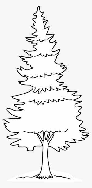 Pin Pine Tree Silhouette Clip Art - Pine Tree Clip Art Outline #1087940