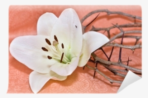 Crown Of Thorns #1088042