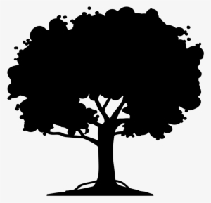 Árvore - Soil Infographic #1088073