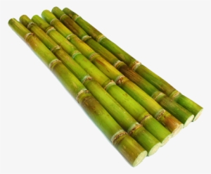 File - Reeds - Sugar Cane Png Hd #1088533