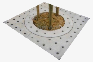 Tree Surrounds - Urbano Caldeira #1088607