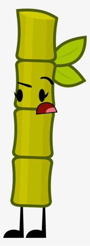 Sugarcane Pose 5-2017 - Object Shows Sugar Cane #1088854