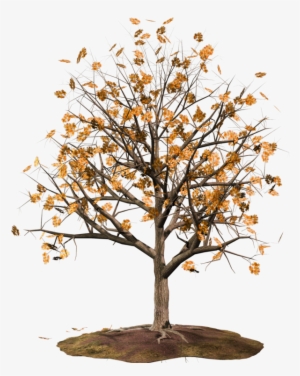 Curtido Curtir Compartilhar - Desenho De Uma Arvore Florida #1088873