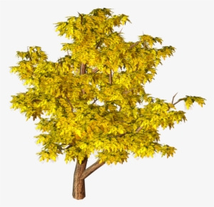 Clip-art Yellow Tree Png Image - Aerial View Trees Images For Renderings #1088893