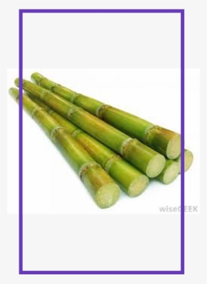 Imagenes De Una Caña De Azucar #1089253