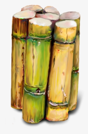 Bunch Of Sugar Canes - Sugarcane Hd Png #1089356