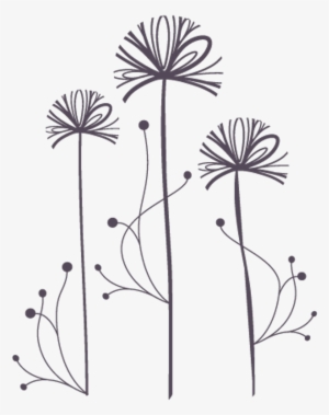 Freetoedit Dandelions Dandelionseeds Png Transparentbac #1089604