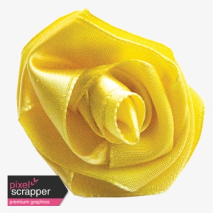 Yellow Ribbon Rose - Garden Roses #1089988