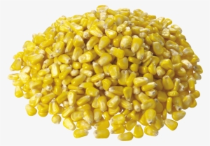 Audi Transparent Png Sticker #1090105