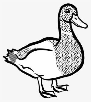 Clipart - Clip Art Of Duck #1090271