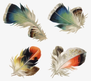 0 8b821 E15a5edc Orig Tissue Paper, Feathers, Feather #1090596