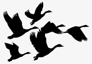 This Free Icons Png Design Of Gaggle Of Geese Silhouette #1090703