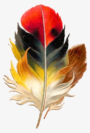 Antique Images Clip Art Beautiful Multi Colored - Colorful Bird Feathers Png #1090706