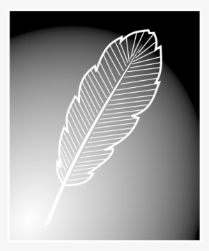 Featherpeacock Feather Silhouette Png - Siluet Bulu #1090730